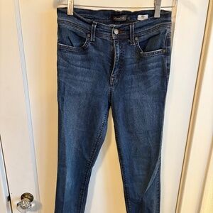 Level 99 Tanya High Rise Skinny Jeans